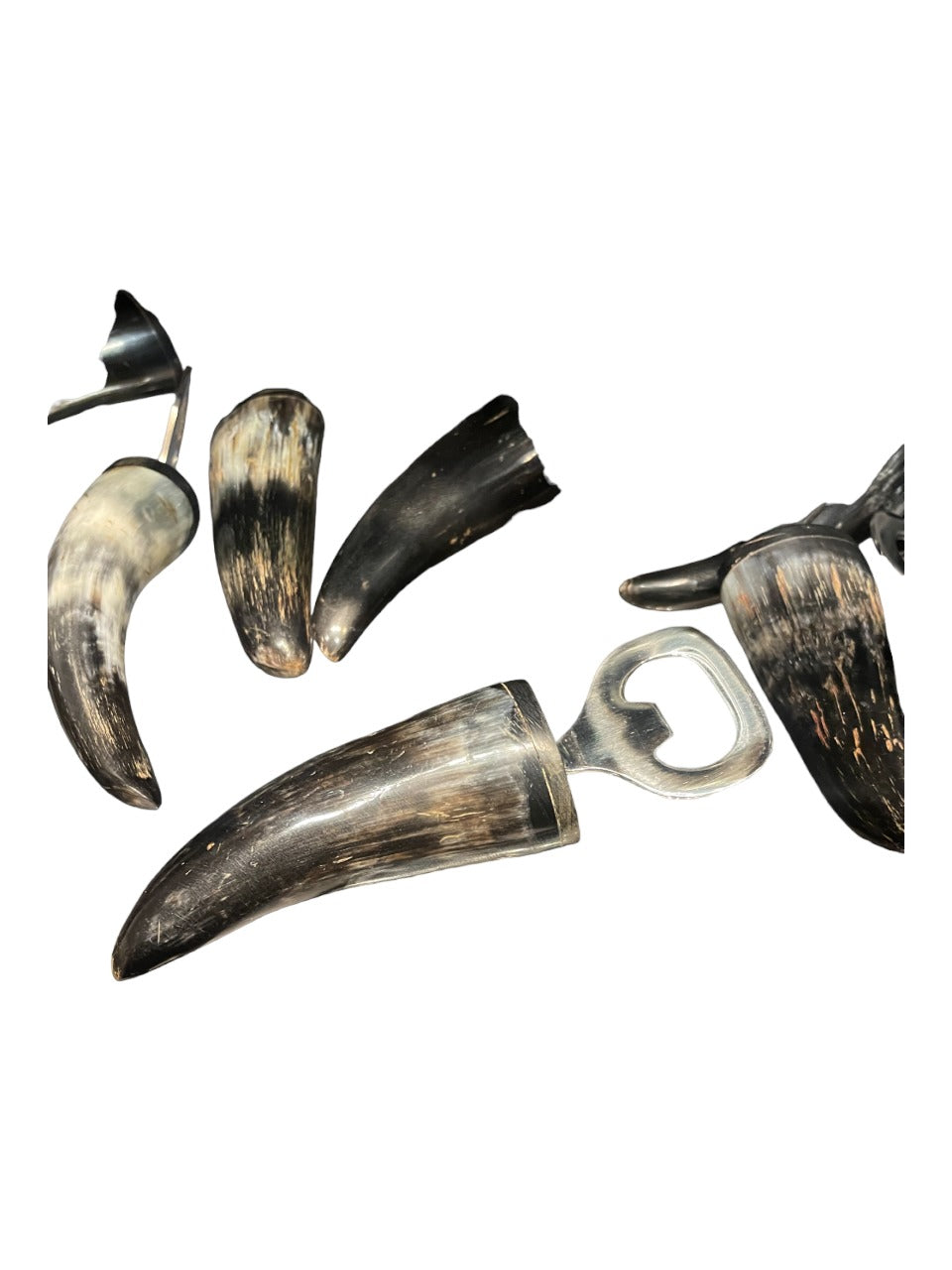 Horn opener bone Horn opener bone